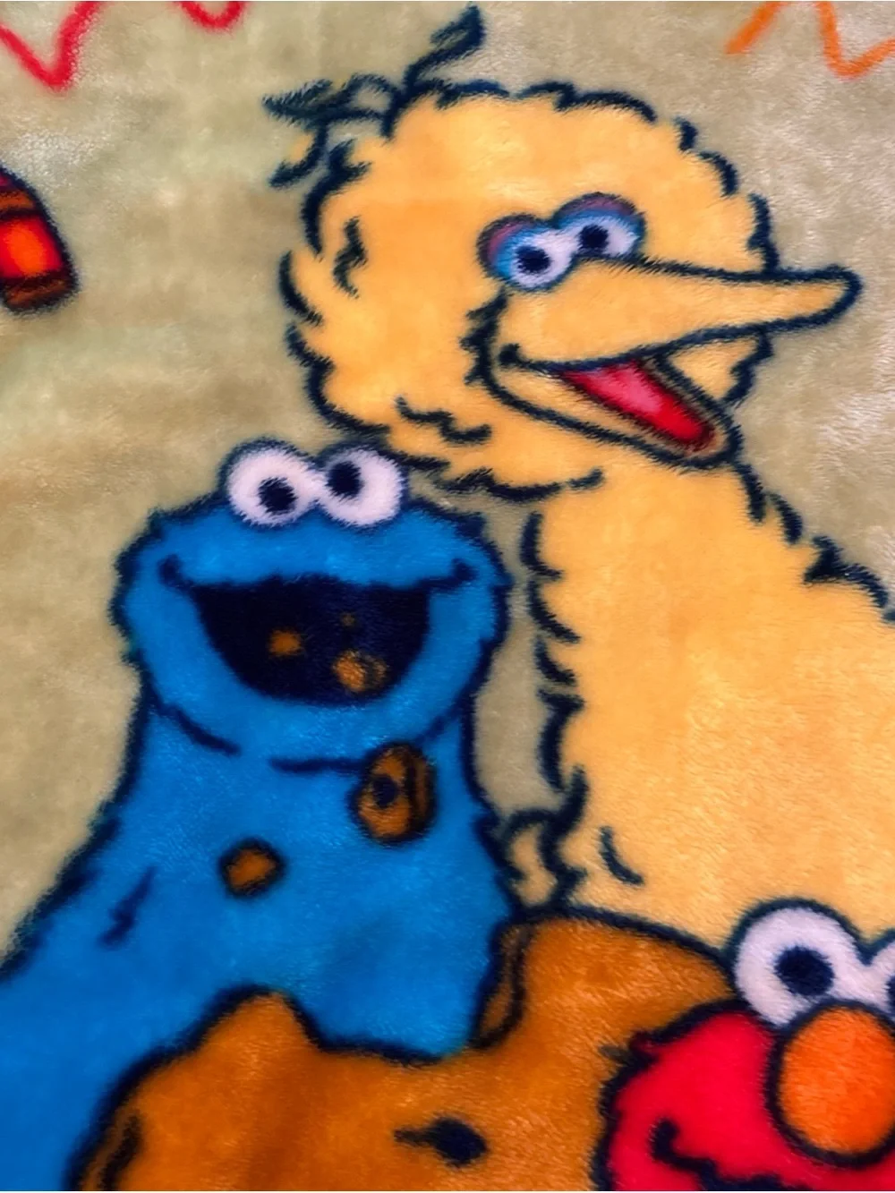 Sesame Street Plush Throw Blanket in Yellow, Blue, Red with Green Background